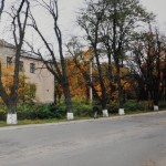 Mościska. Pozostałości dawnych ogrodów plebańskich.