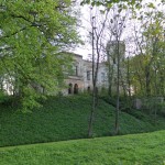 Sądowa Wisznia. Ruiny spalonego pałacu na sztucznym wzniesieniu oraz samosiewy z drugiej połowy XX wieku.