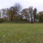 Sąsiadowice (ukr. Сусідовичі). Pomnikowe lipy rosnące na koronie wału wokół założenia klasztornego OO. Karmelitów.