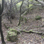 Szczerzec (miejscowość nieistniejąca). Fragmenty murów zniszczonego dworu znajdującego się na zalesionym terenie poligonu jaworowskiego.